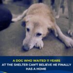 599224950_122107060257142776_4745951444369812845_n