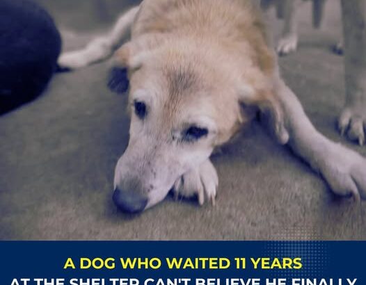 599224950_122107060257142776_4745951444369812845_n