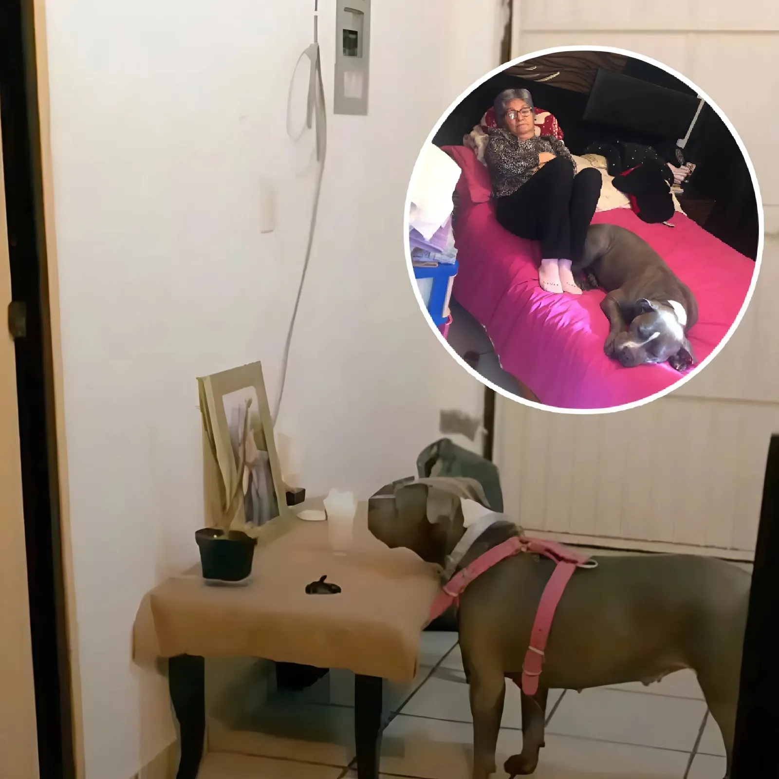 BetterImage_1764610052926_11zon